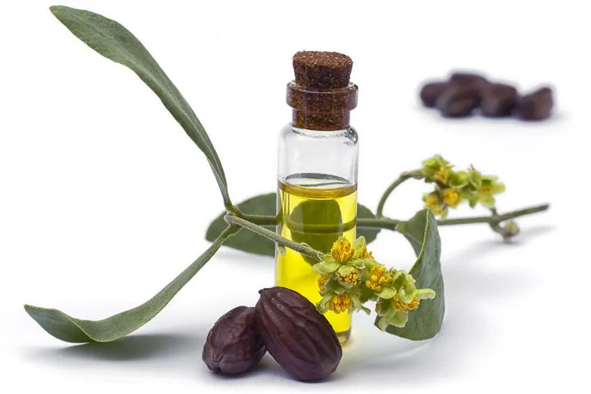 Jojoba Oil (Organic)